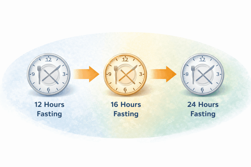 오토파지 다이어트 중 단식 시간별 효과 차이를 보여주는 공복 시간 흐름 이미지